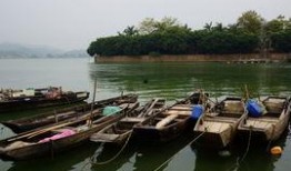 顺德杏坛爆料最新消息,揭秘社区热点事件背后的真相